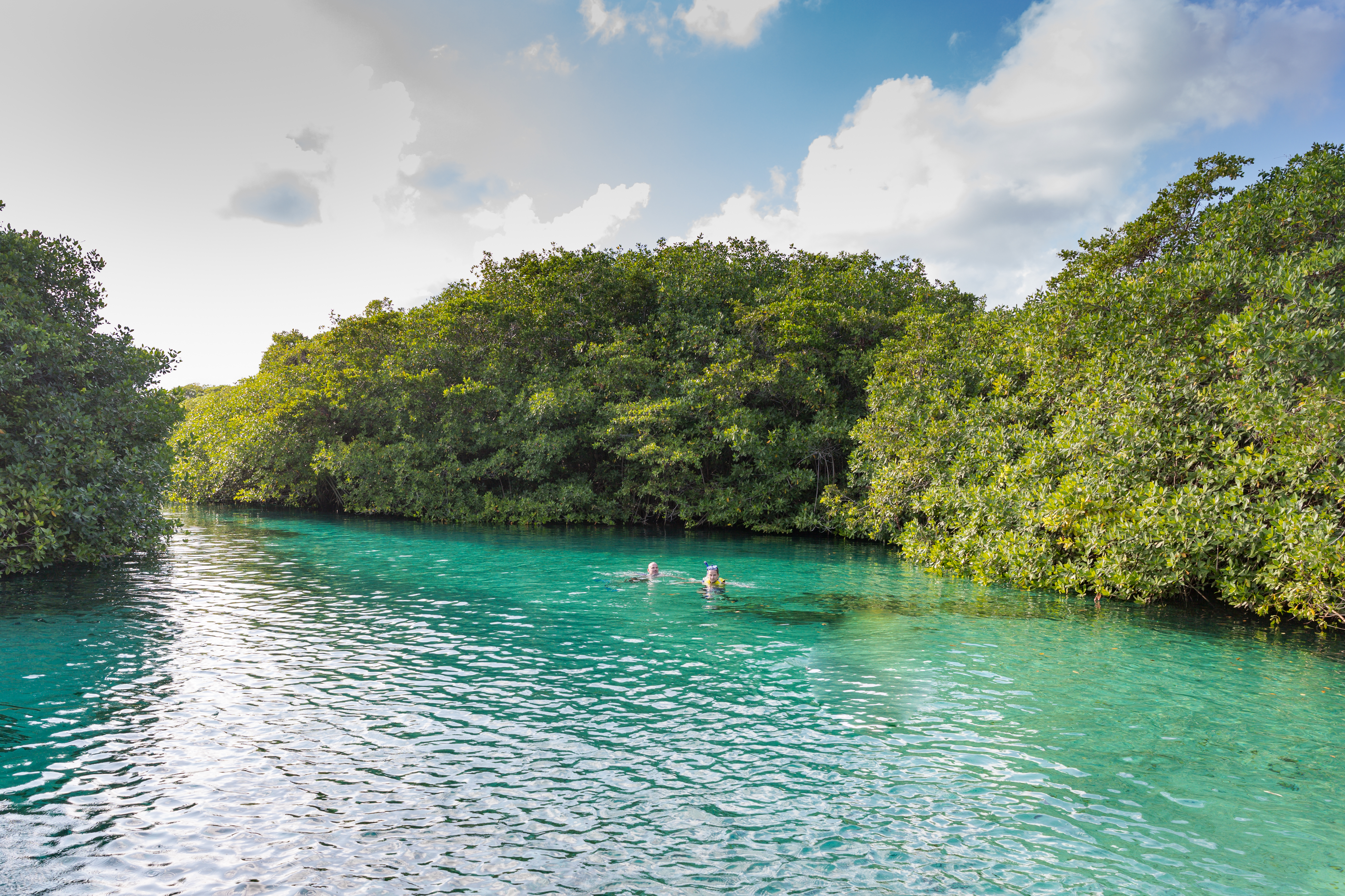 Casa Cenote in Mexico (42877772324).jpg
