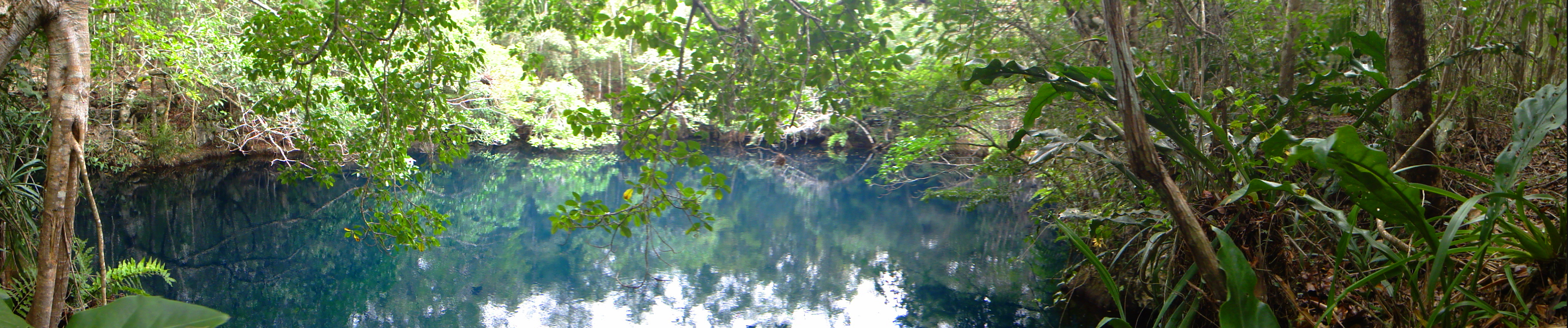Angelita Cenote - Tulum (5495663441).jpg