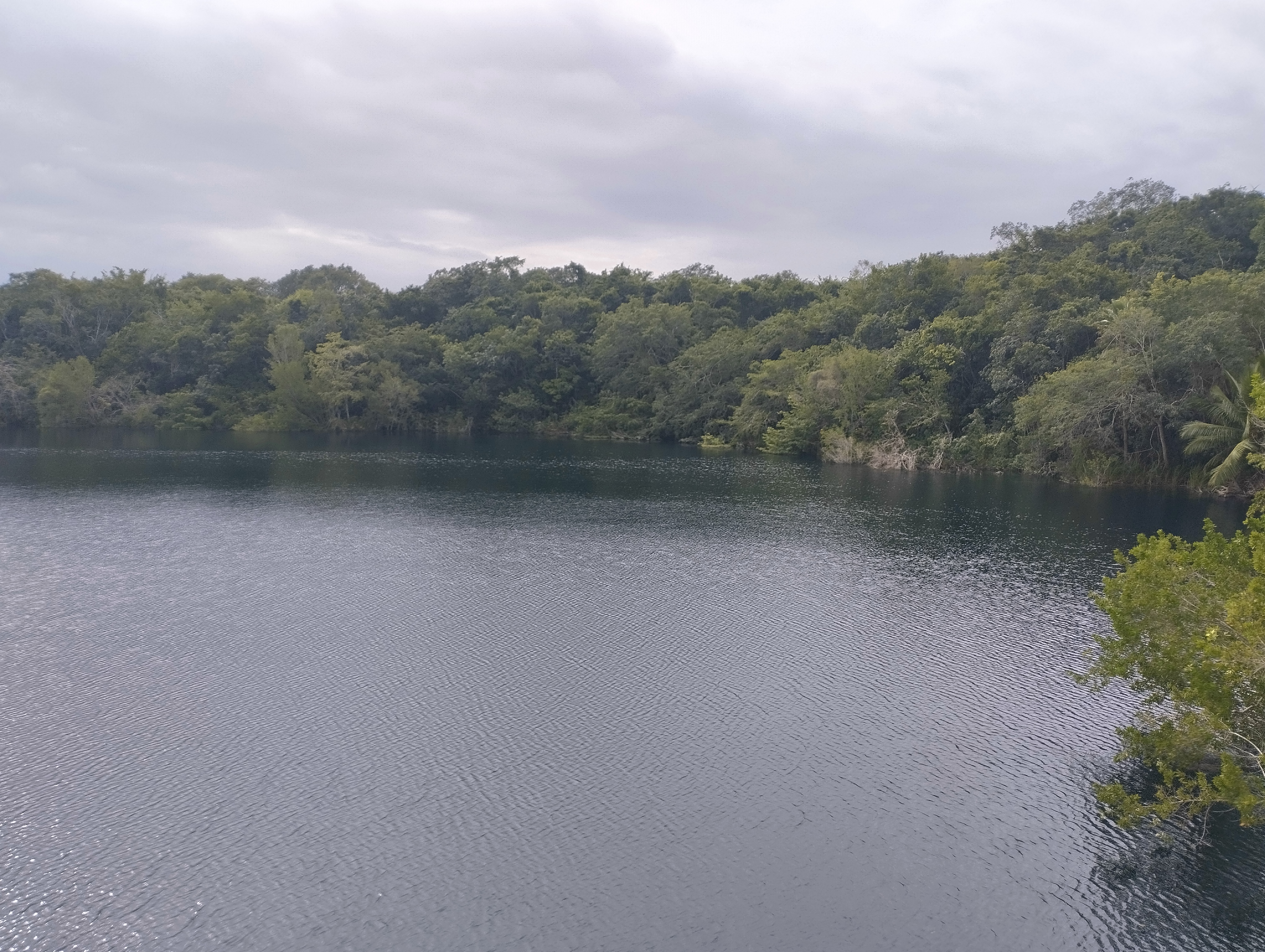Cenote azul, Quintana Roo 01.jpg