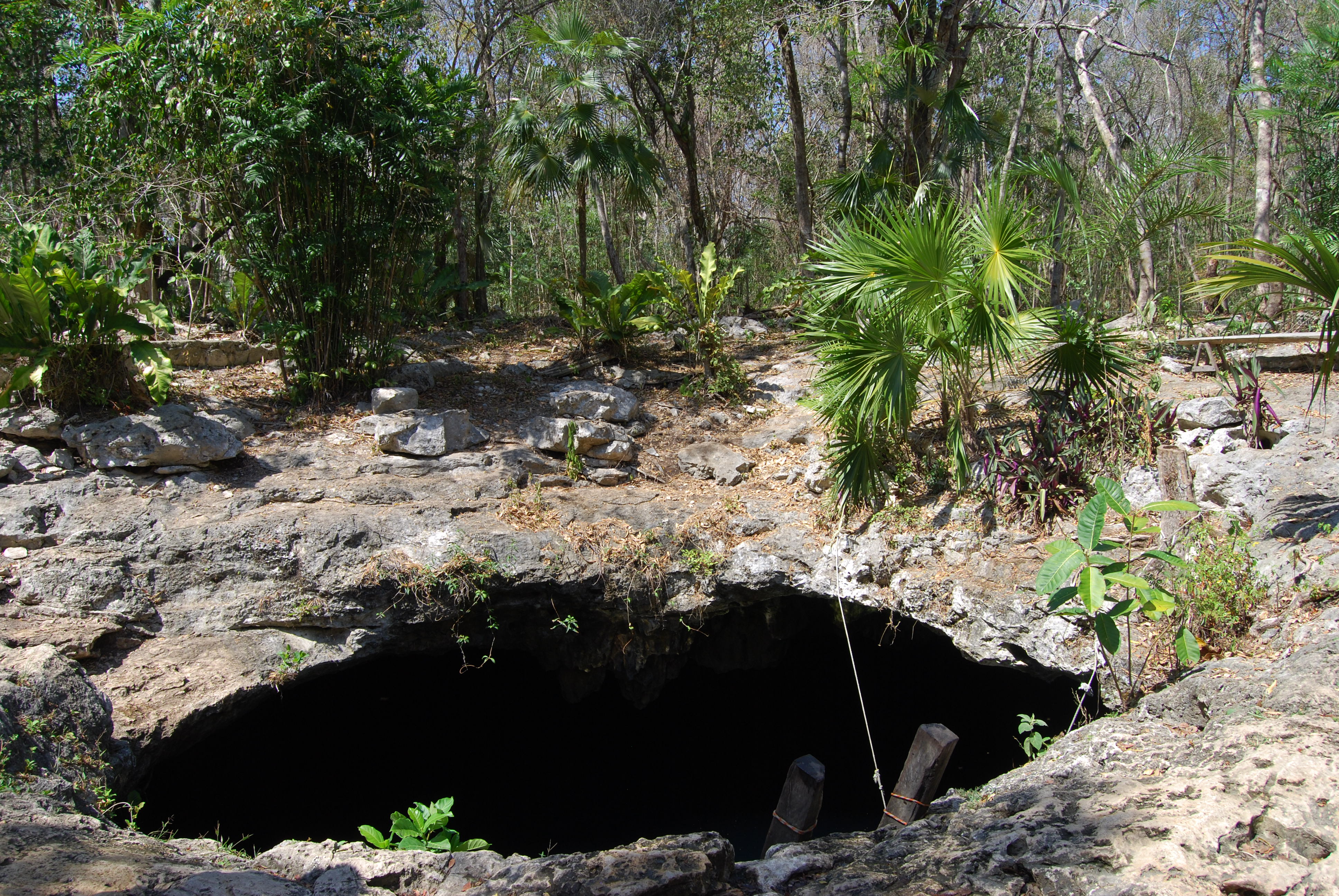 Cenote Calavera.jpg