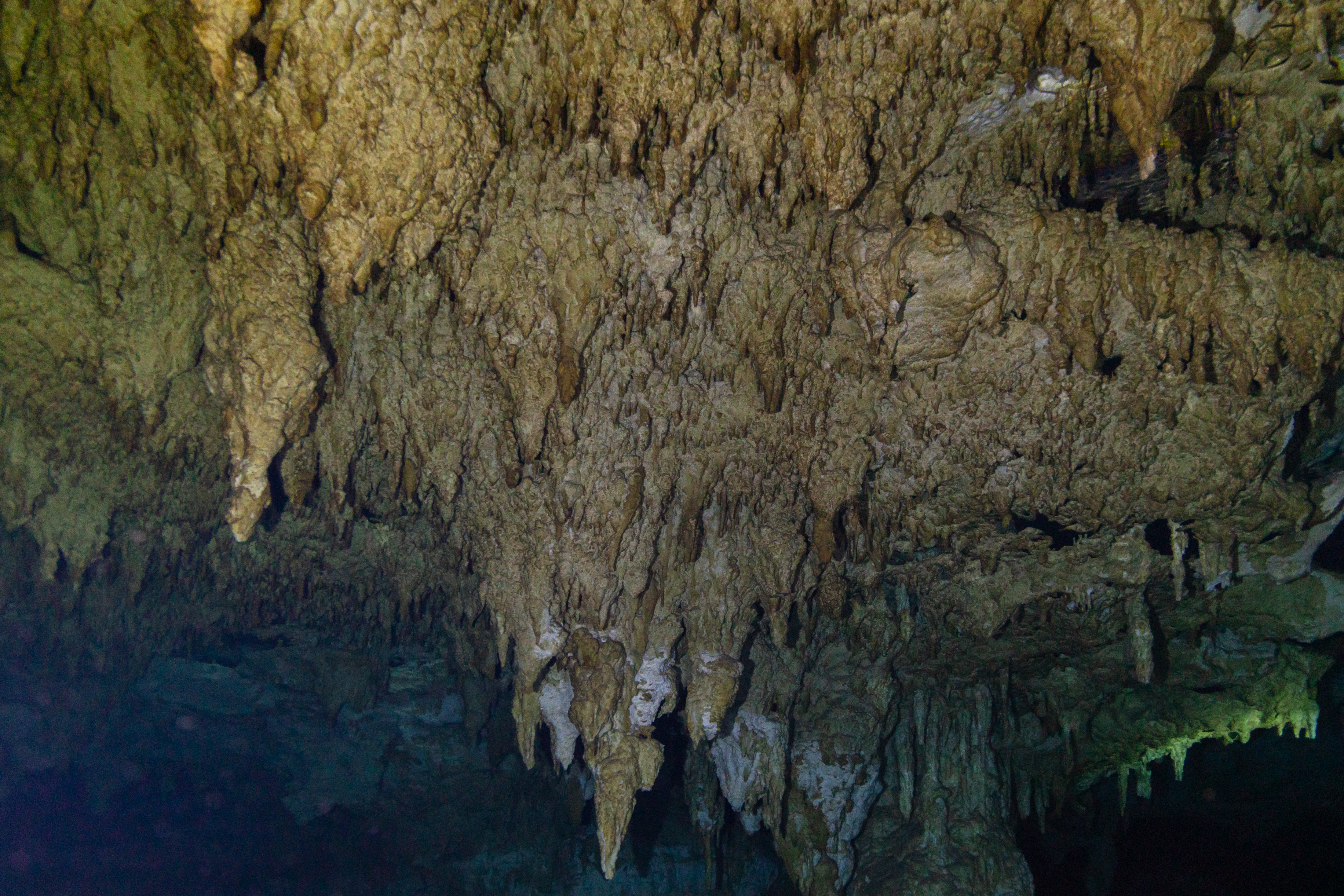 Cenote Dos Ojos, Yucatán, México, 2025-12-23, DD 29.jpg