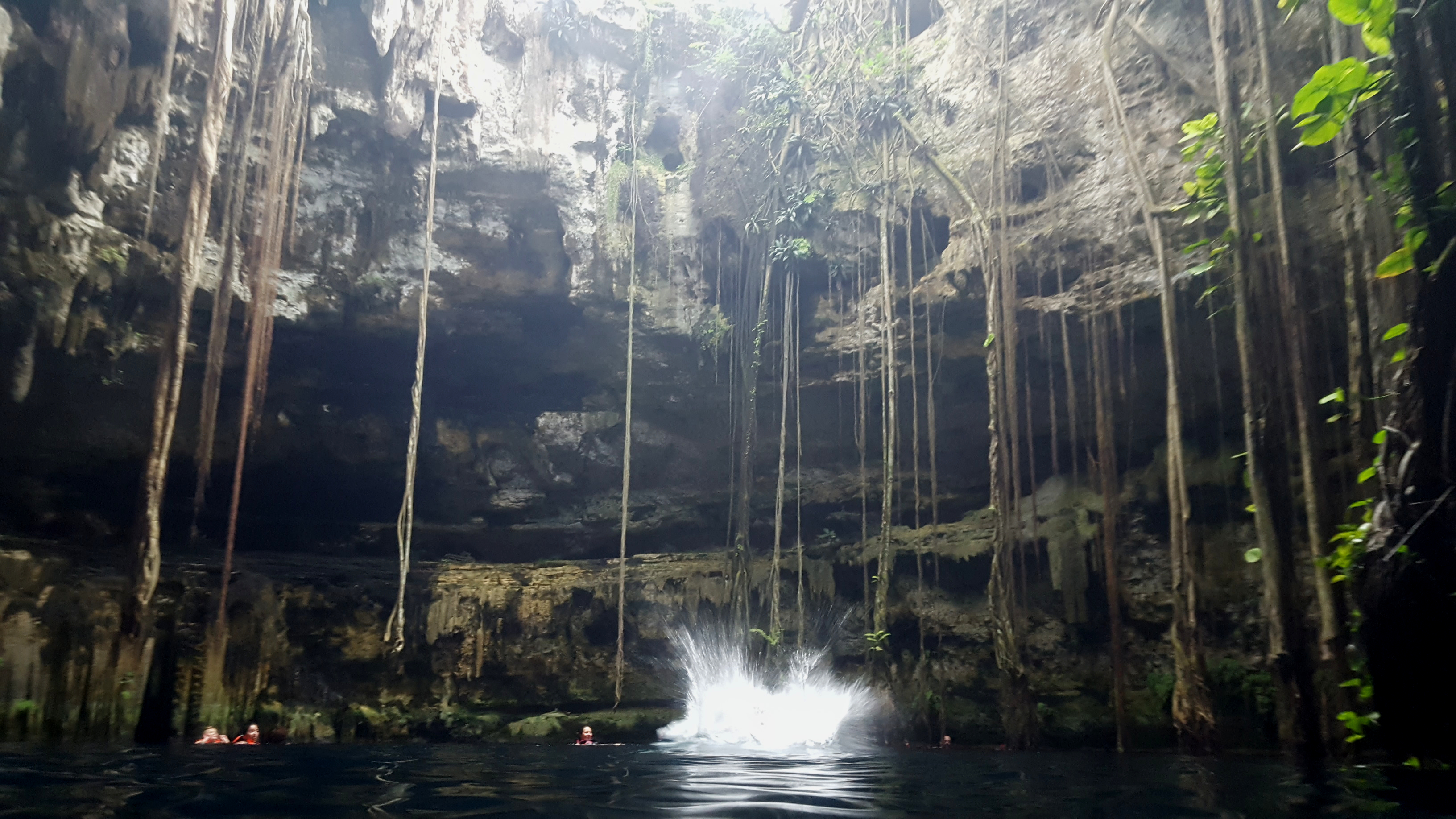 Diving in Oxman Cenote Yucatan.jpg