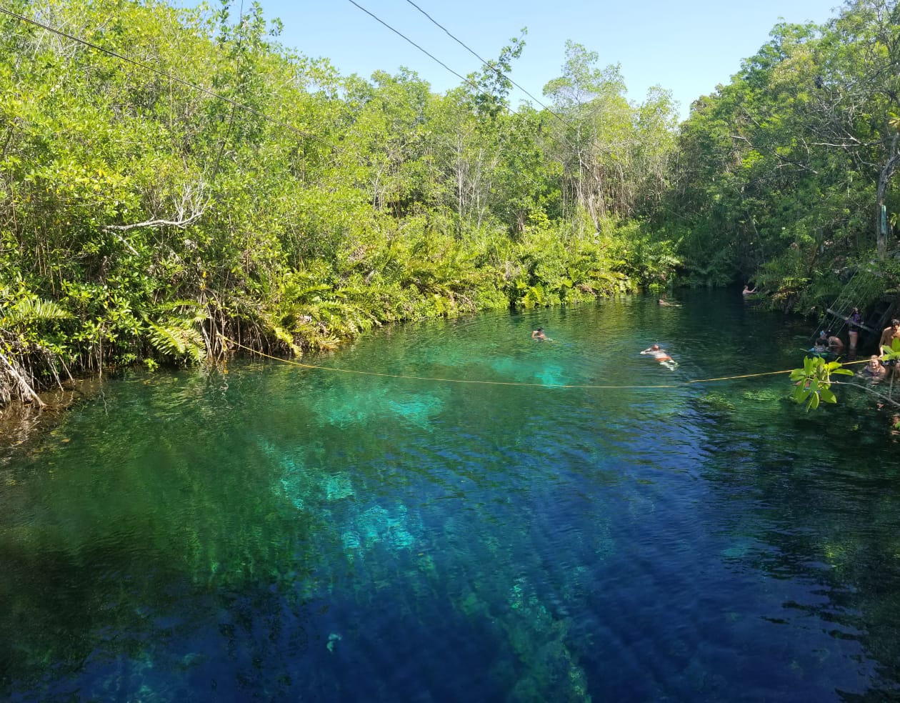 Cenote Xunaan-Ha.jpg