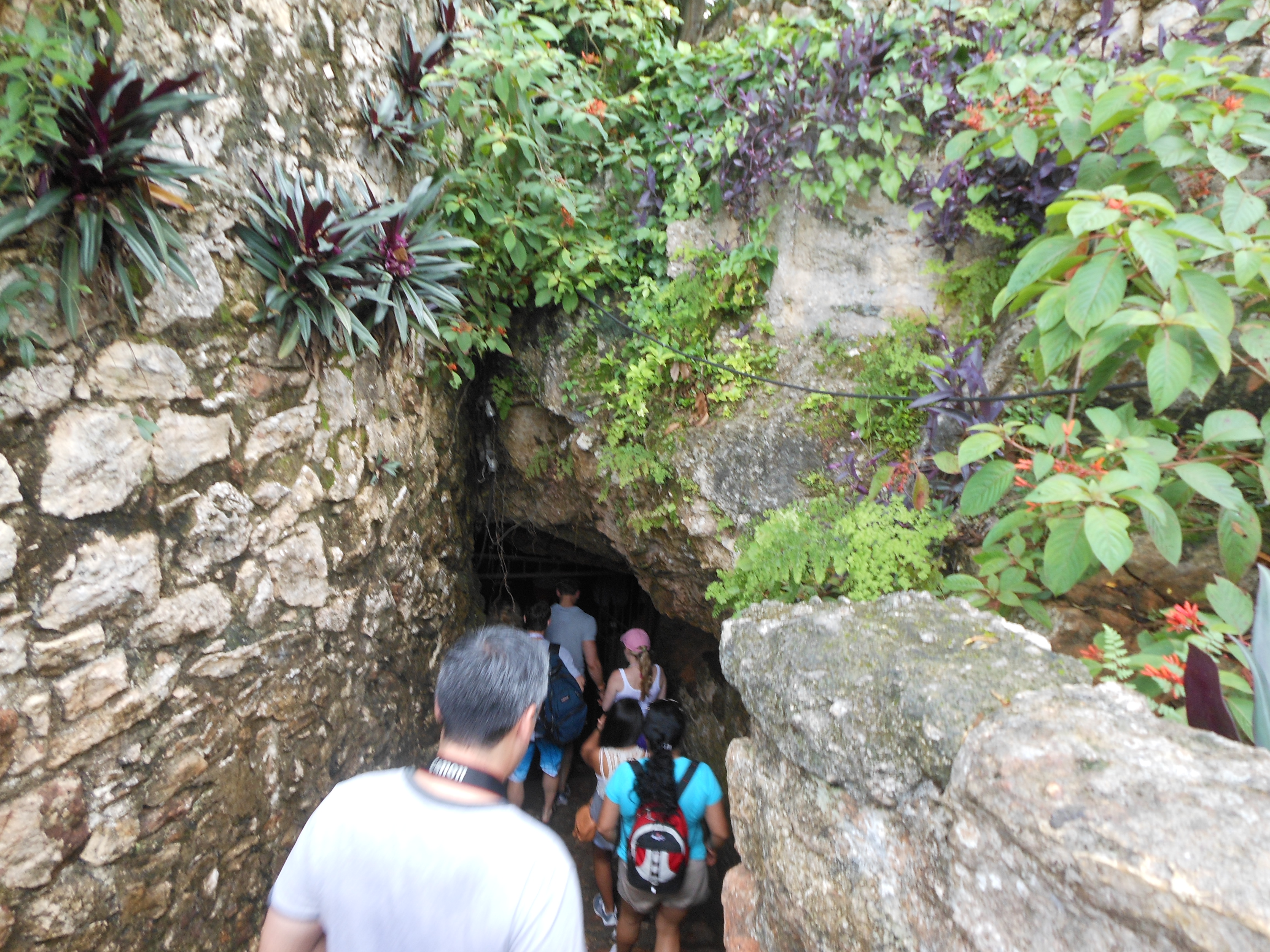 Cenote Zaci, Valladolid de Yucatan, Julio 2012 03.jpg